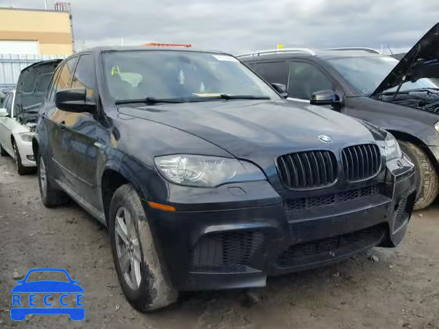 2010 BMW X5 M 5YMGY0C57ALK25490 Bild 0