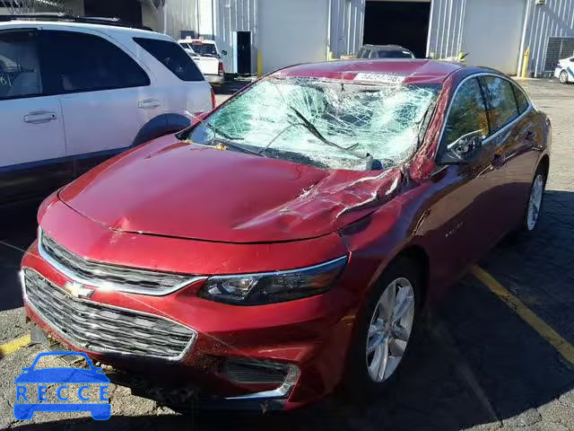 2017 CHEVROLET MALIBU HYB 1G1ZJ5SU9HF267950 Bild 1