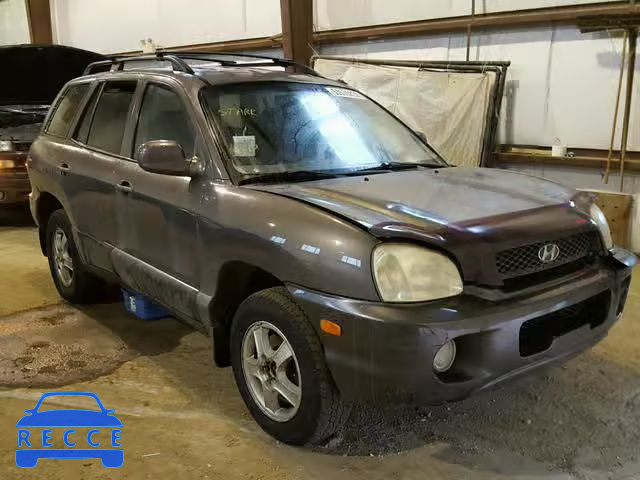 2004 HYUNDAI SANTA FE B KM8SB73D04U629522 зображення 0