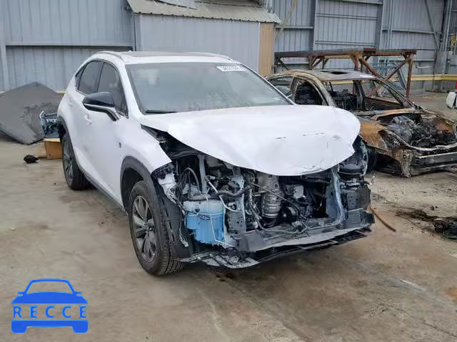 2019 LEXUS NX 300 JTJYARBZ3K2123960 image 0