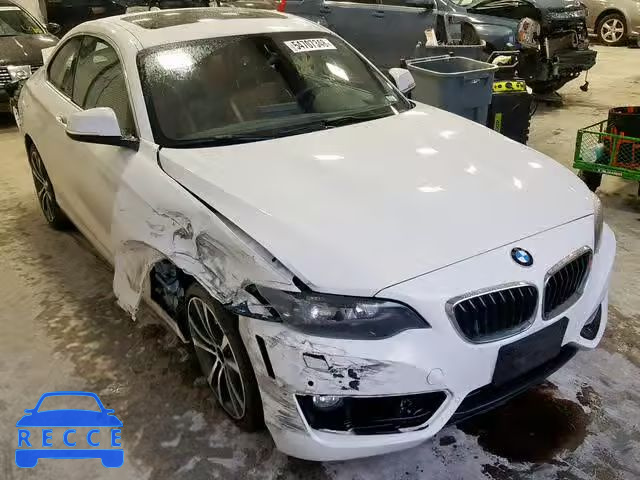 2016 BMW 228 XI WBA1G9C56GV598620 image 0