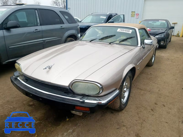 1992 JAGUAR XJS SAJNW4841NC182334 Bild 1