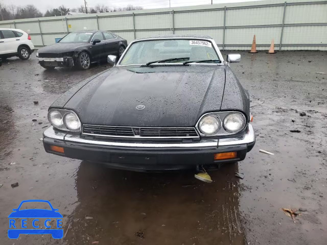 1985 JAGUAR XJS SAJNV5840FC121549 Bild 8