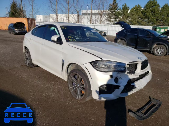 2015 BMW X6 M 5YMKW8C57F0R42902 зображення 0