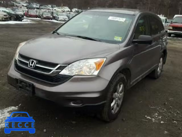 2011 HONDA CR-V SE 5J6RE4H4XBL090731 Bild 1