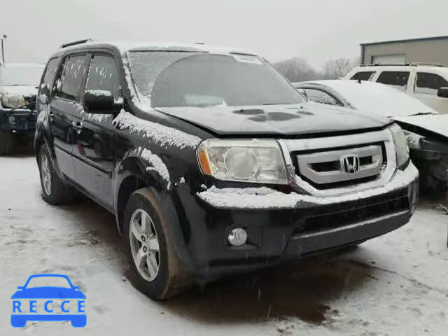 2009 HONDA PILOT EXL 5FNYF48599B016303 image 0