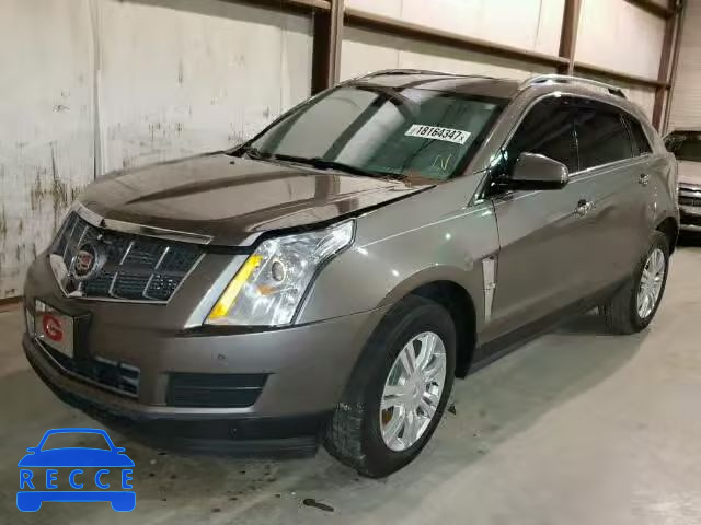 2011 CADILLAC SRX LUXURY 3GYFNDEY0BS524501 зображення 1