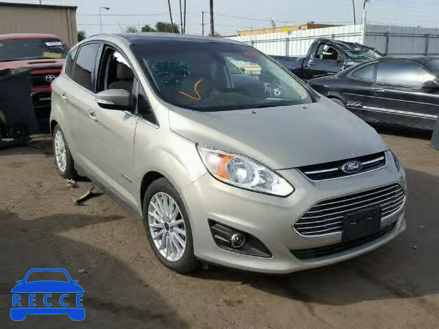 2015 FORD C-MAX SEL 1FADP5BUXFL114174 image 0