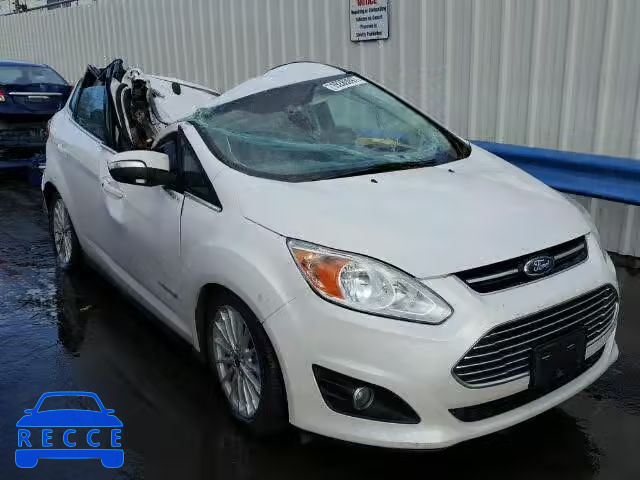 2013 FORD C-MAX SEL 1FADP5BU2DL543189 зображення 0