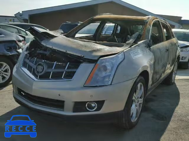 2011 CADILLAC SRX PREMIU 3GYFNFEY8BS599197 Bild 1