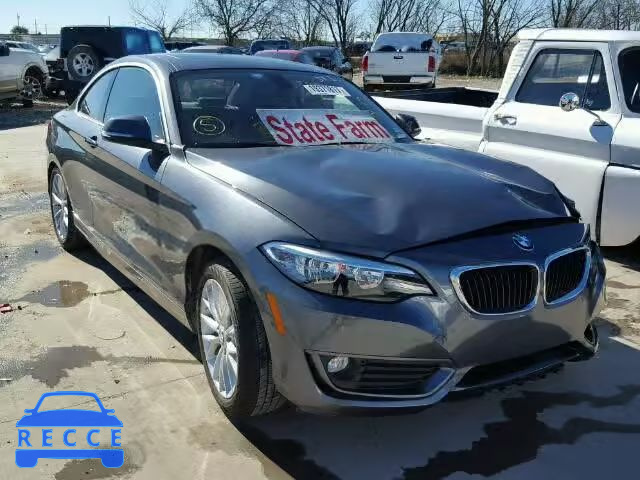 2014 BMW 228I WBA1F5C56EVV99159 зображення 0