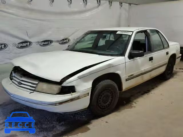 1994 CHEVROLET LUMINA 2G1WL54T6R1100584 зображення 1