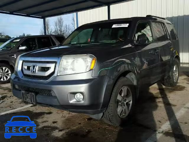2009 HONDA PILOT EXL 5FNYF485X9B042862 image 1