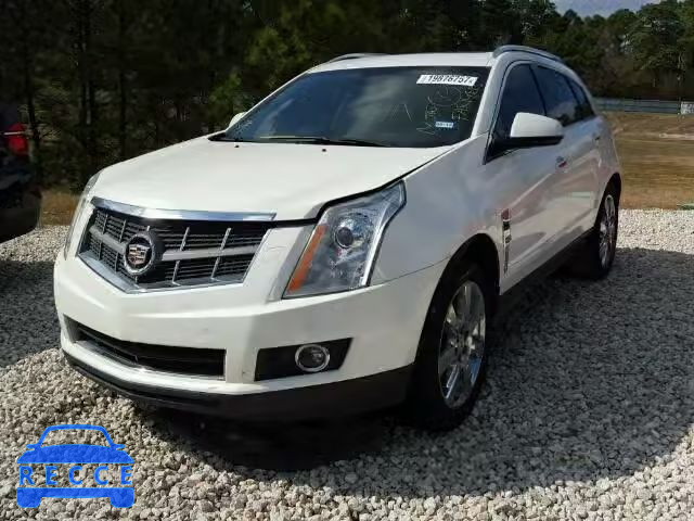 2012 CADILLAC SRX PERFOR 3GYFNBE36CS643440 зображення 1