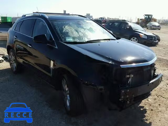 2010 CADILLAC SRX PERFOR 3GYFNBEY8AS653055 image 0