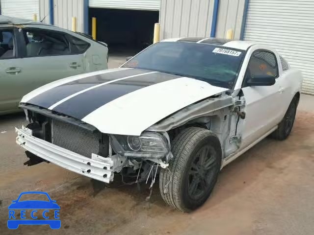 2013 FORD MUSTANG 1ZVBP8AM1D5266816 image 1