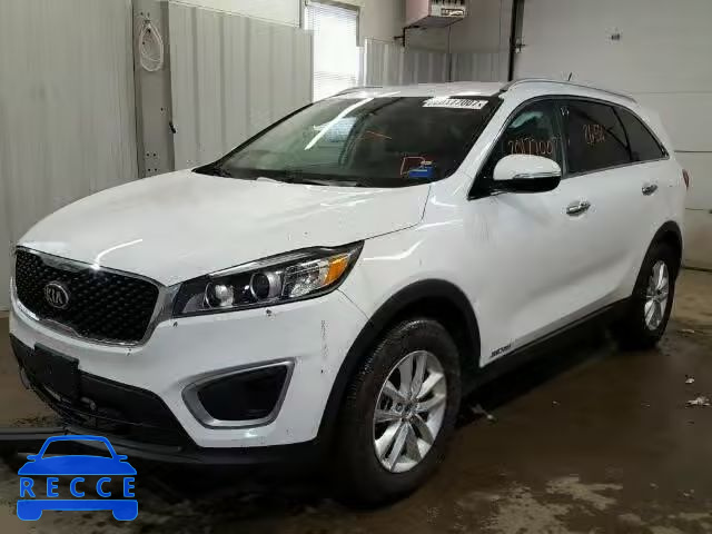 2017 KIA SORENTO LX 5XYPGDA54HG201305 image 1