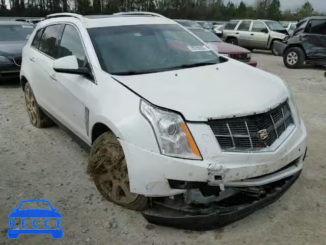 2010 CADILLAC SRX PREMIU 3GYFNKE47AS565059 Bild 0