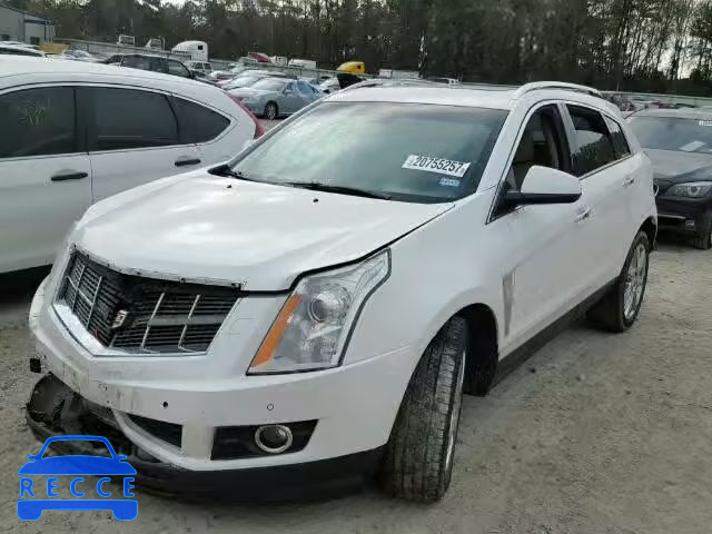 2010 CADILLAC SRX PREMIU 3GYFNKE47AS565059 image 1