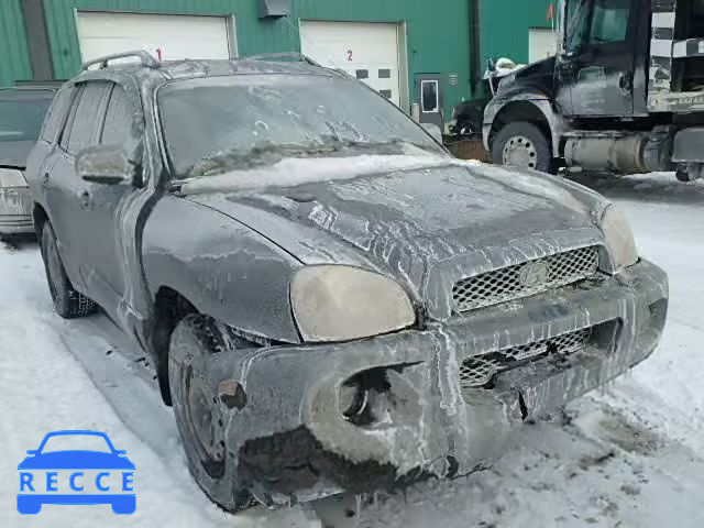 2003 HYUNDAI SANTA FE KM8SB13D43U352708 зображення 1