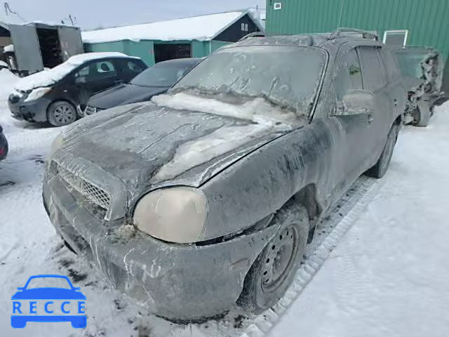 2003 HYUNDAI SANTA FE KM8SB13D43U352708 image 2