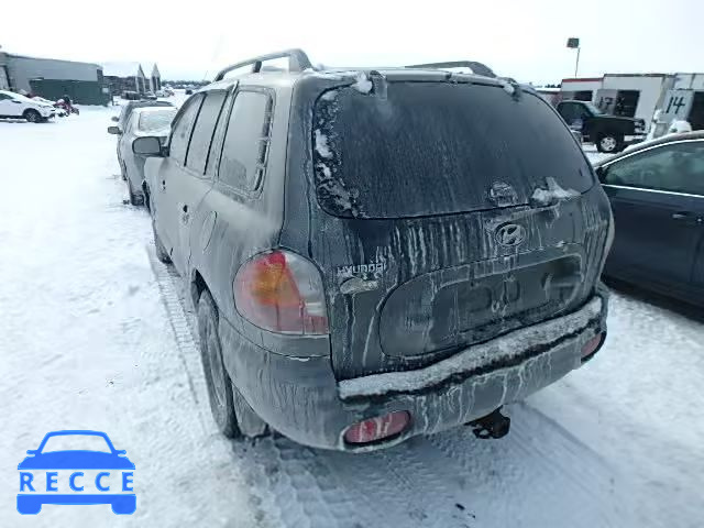 2003 HYUNDAI SANTA FE KM8SB13D43U352708 зображення 3