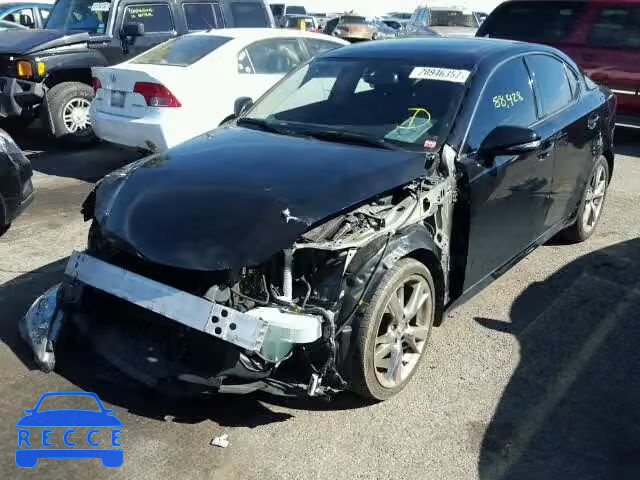 2009 LEXUS IS 250 JTHBK262995105884 image 1