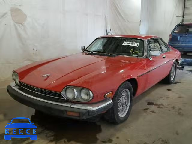 1989 JAGUAR XJS SAJNY5843KC162730 Bild 1