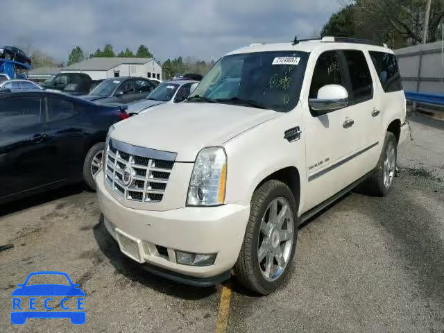 2010 CADILLAC ESCALADE E 1GYUKJEF8AR188515 image 1