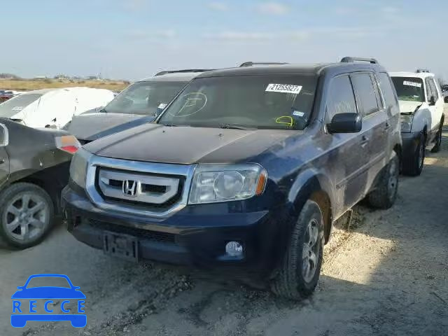 2010 HONDA PILOT EXL 5FNYF3H53AB009765 image 1