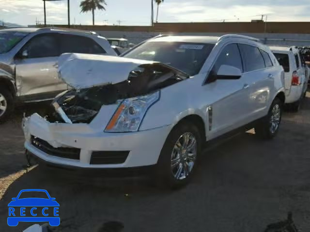 2010 CADILLAC SRX LUXURY 3GYFNDEY1AS637999 зображення 1