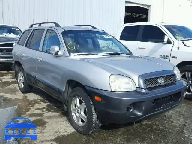 2004 HYUNDAI SANTA FE KM8SB13D64U620529 image 0