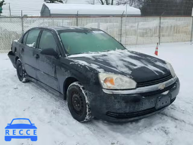 2004 CHEVROLET MALIBU 1G1ZS52F04F244467 image 0