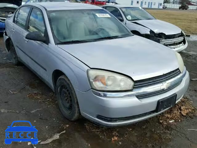 2004 CHEVROLET MALIBU 1G1ZS52F94F169610 image 0