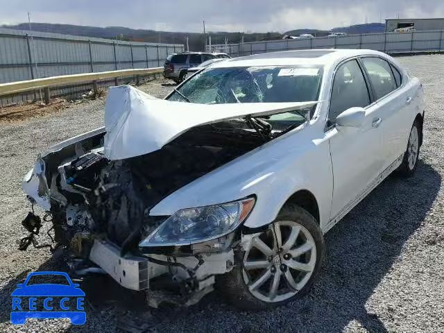 2008 LEXUS LS 460L JTHGL46F585026180 Bild 1