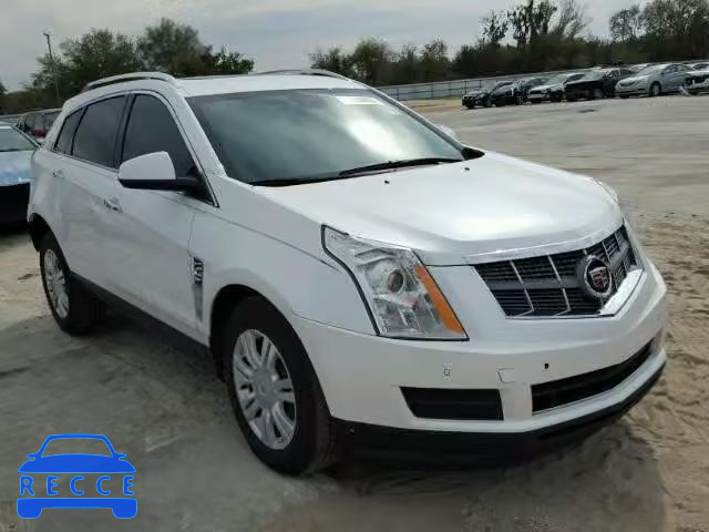 2011 CADILLAC SRX LUXURY 3GYFNAEY6BS637559 зображення 0