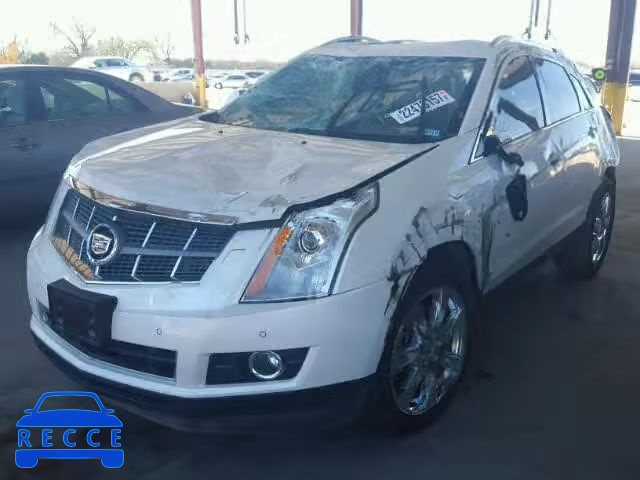 2011 CADILLAC SRX PERFOR 3GYFNBEY6BS557832 зображення 1