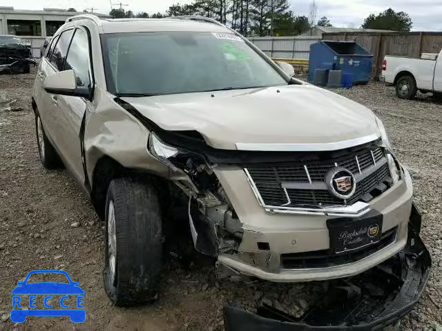 2010 CADILLAC SRX LUXURY 3GYFNAEY9AS590218 Bild 0