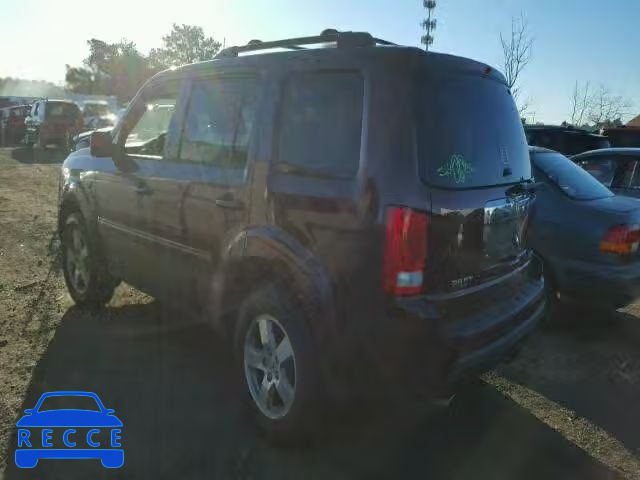 2010 HONDA PILOT EXL 5FNYF4H59AB036278 image 2