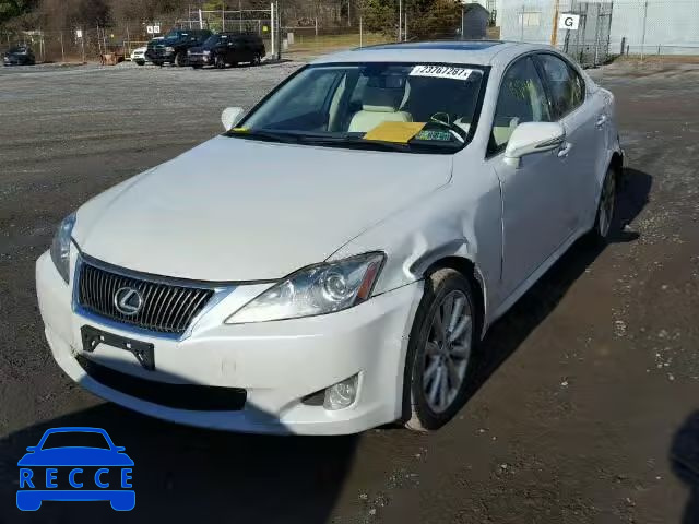 2009 LEXUS IS250 AWD JTHCK262395031057 image 1