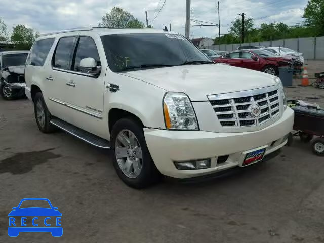 2010 CADILLAC ESCALADE E 1GYUKHEF1AR288240 image 0