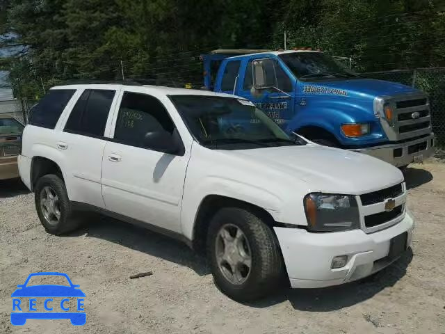 2009 CHEVROLET TRAILBLAZE 1GNDS33S192110669 image 0