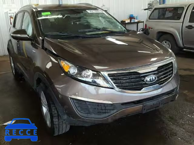 2011 KIA SPORTAGE L KNDPBCA28B7081902 image 0