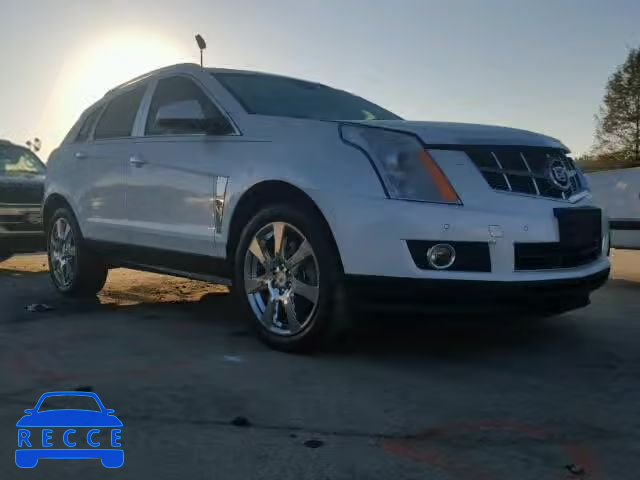 2011 CADILLAC SRX PERFOR 3GYFNBEY6BS543753 зображення 0