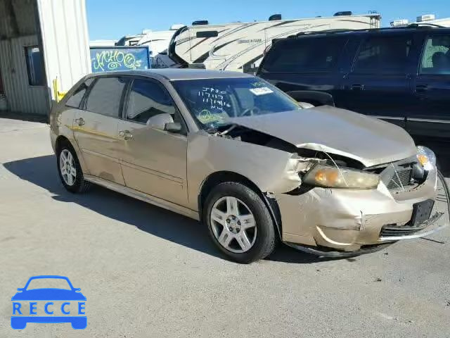 2007 CHEVROLET MALIBU MAX 1G1ZT68N07F265521 image 0