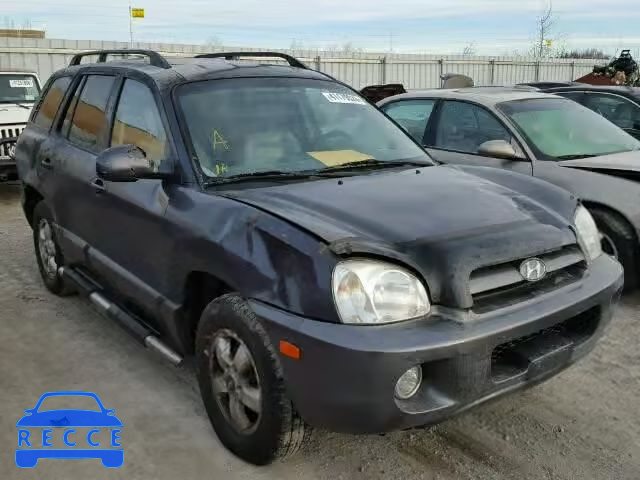 2005 HYUNDAI SANTA FE KM8SB73D25U027352 image 0