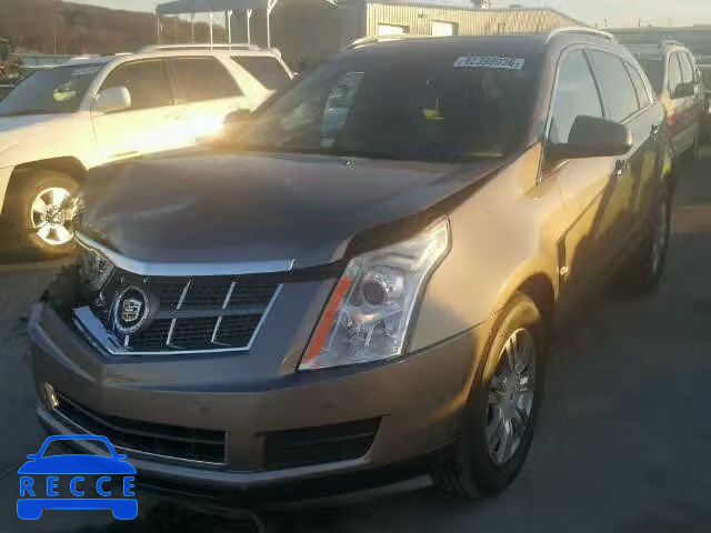 2011 CADILLAC SRX LUXURY 3GYFNAEY1BS599903 зображення 1