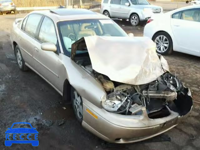 2002 CHEVROLET MALIBU LS 1G1NE52J62M550947 image 0