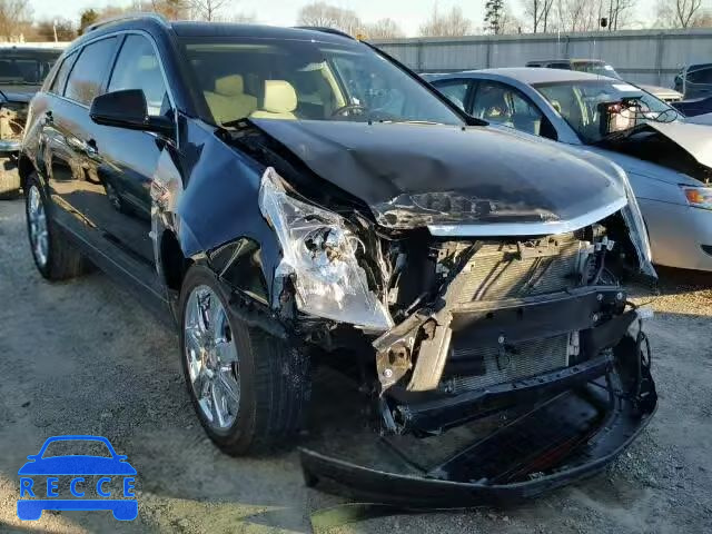 2011 CADILLAC SRX PERFOR 3GYFNBEY5BS658912 image 0