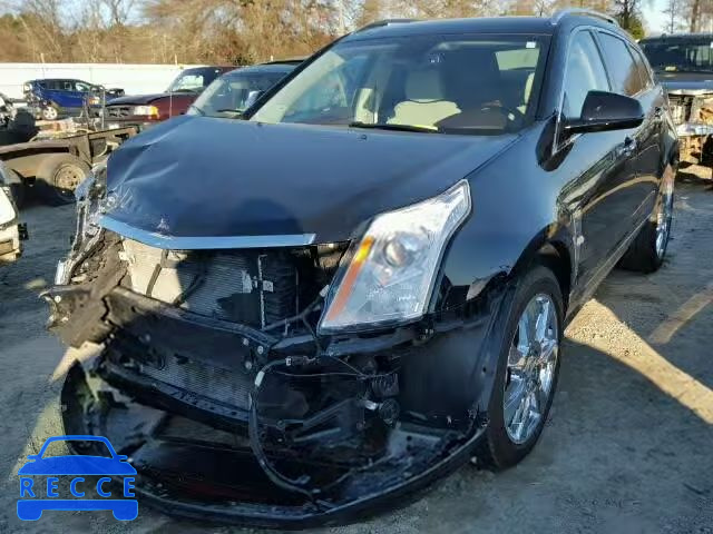 2011 CADILLAC SRX PERFOR 3GYFNBEY5BS658912 зображення 1